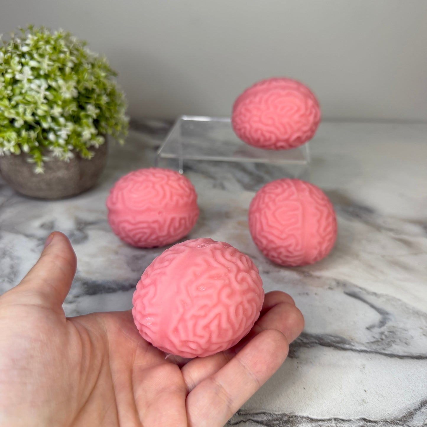 Squishy Toy - Brains