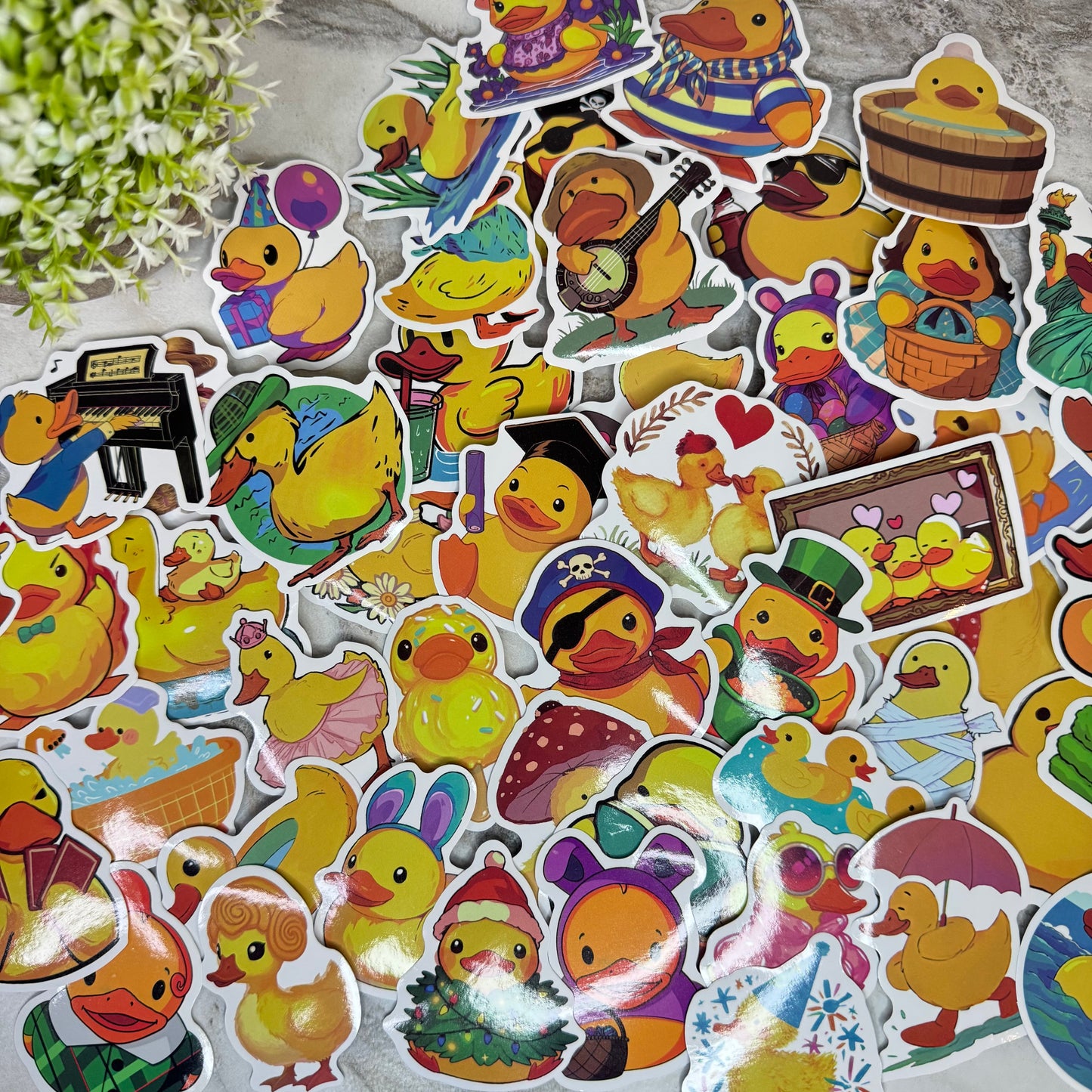 Stickers - Ducks